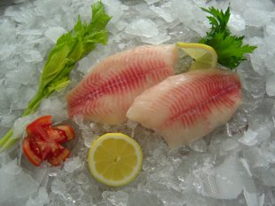 TILAPIA