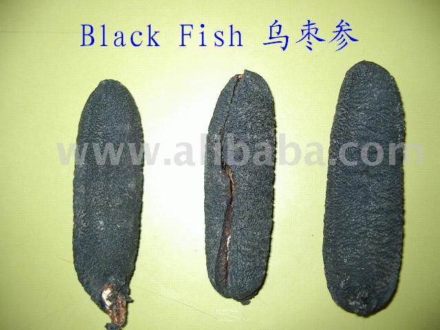  Black   Fish 