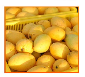 Mango pulp