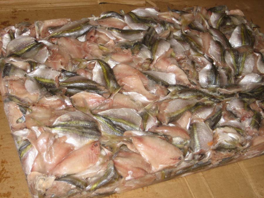  Frozen  Fillet Yellow Stripe  Trevally 