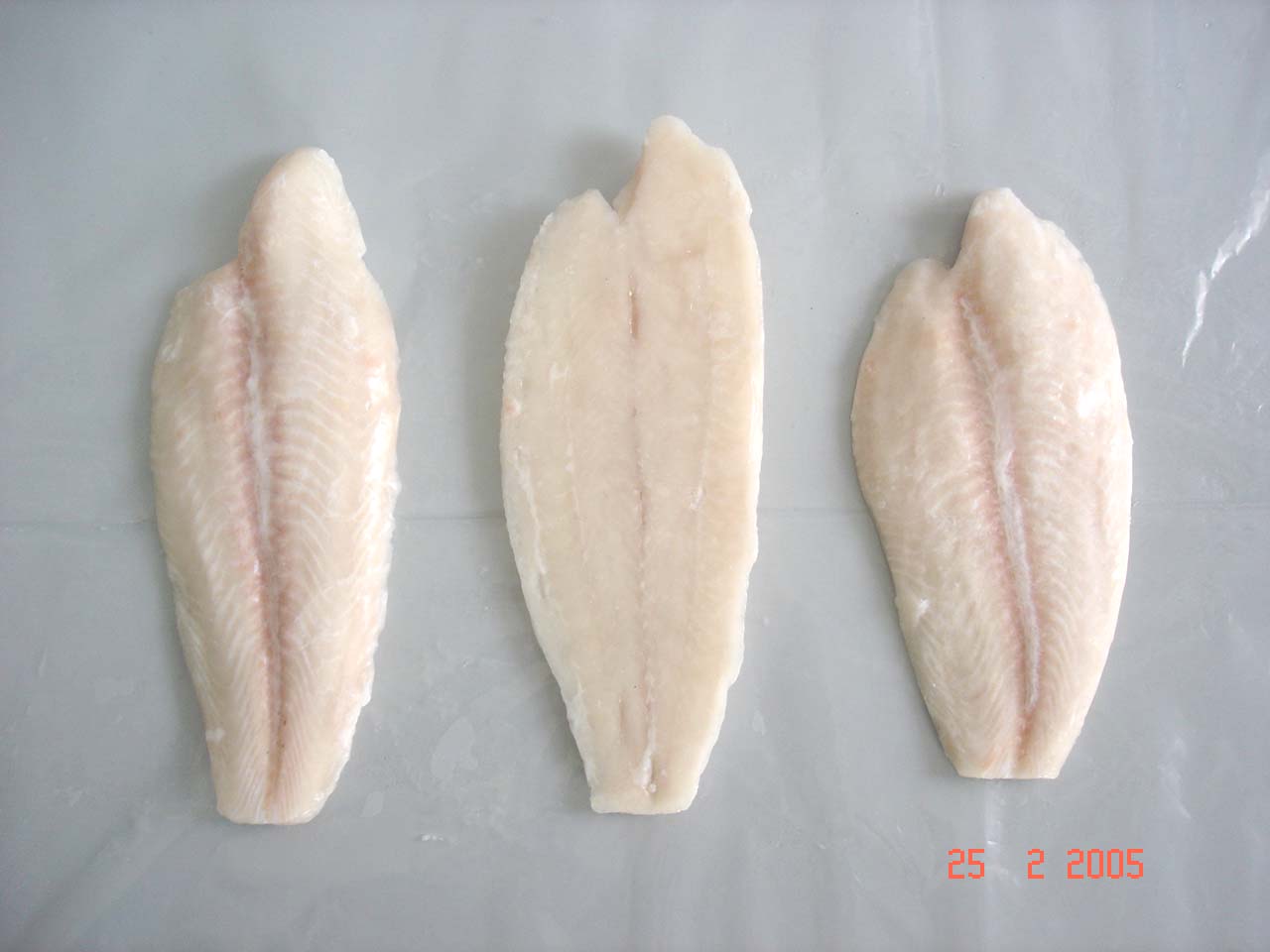 Pangasius Hypophthamus Fillet