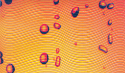 Fruit Juice Ready To Drink