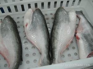 Whole  Pangasius   hypophthalmus 