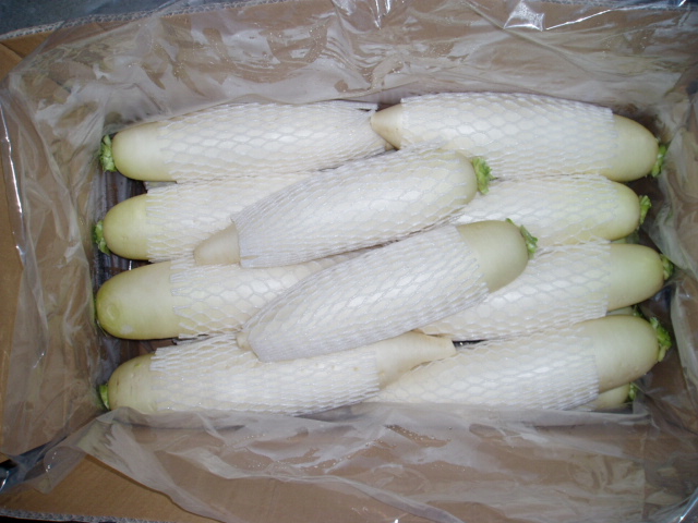 fresh radish.