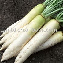 Fresh White Radish