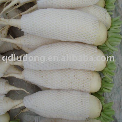 Chinese White Turnip