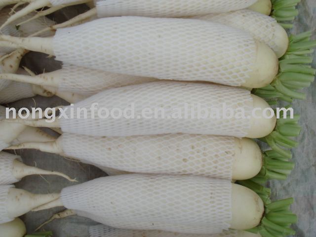 sell  fresh white radish