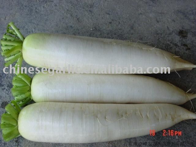 Chinese white radish products,China Chinese white radish supplier