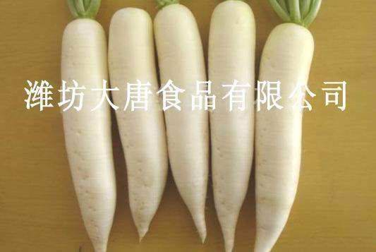 fresh radish