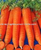 10kg/ctn China Red Carrot