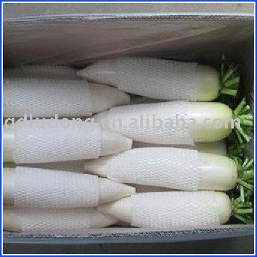 White turnip products,China White turnip supplier