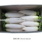 radish