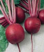 BeetRoot