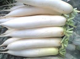 white radish