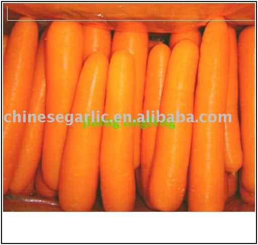 chinese  fresh new 250g and up red carrot