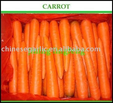 chinese SWEET 150g-250g red carrot