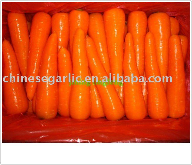 chinese  fresh SWEET 150g- 250g   red   carrot 