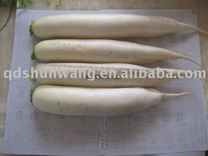 good quality fresh radish