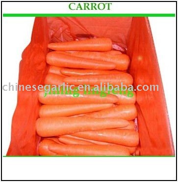 chinese  fresh SWEET 250g and up red carrot