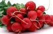 Radishes vegetables for sale
