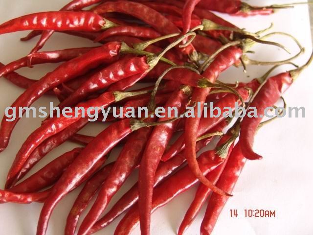 Yunnan   Chili  with stem