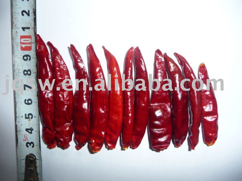 2011 new crop of tianying chilli in China