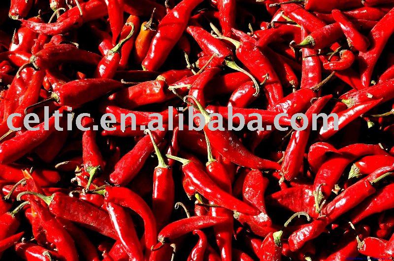  Hot   Chaotian   chili 