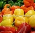 selling pepper, fruits brothers 