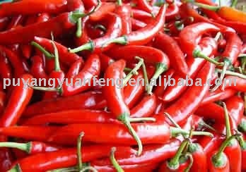 fresh pepper