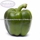 Capsicum