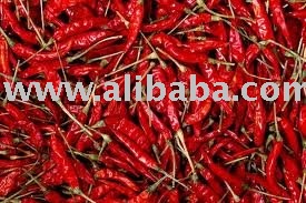 Small Hot Red chili