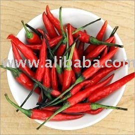 Export Red Chilli from Vietnam with competitive price