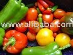  capsicum 