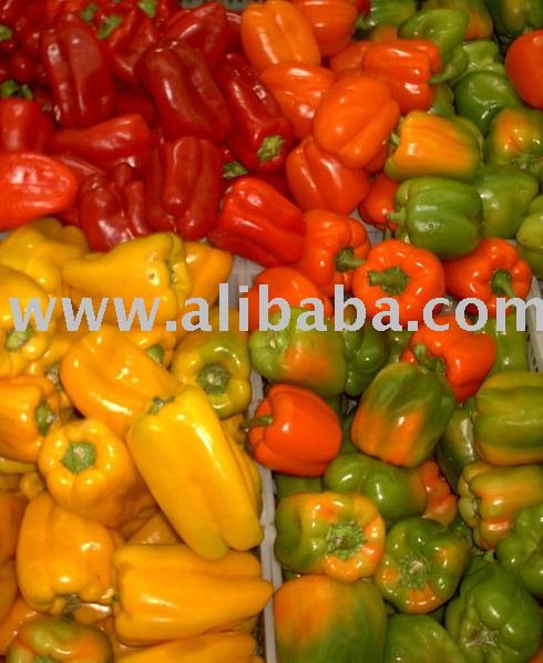  Pepper   Bell s