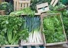 all  types  of vegetable