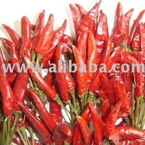 Red Chilli