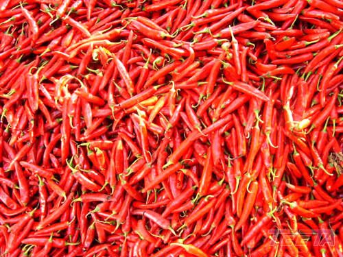 chinese   Chilli