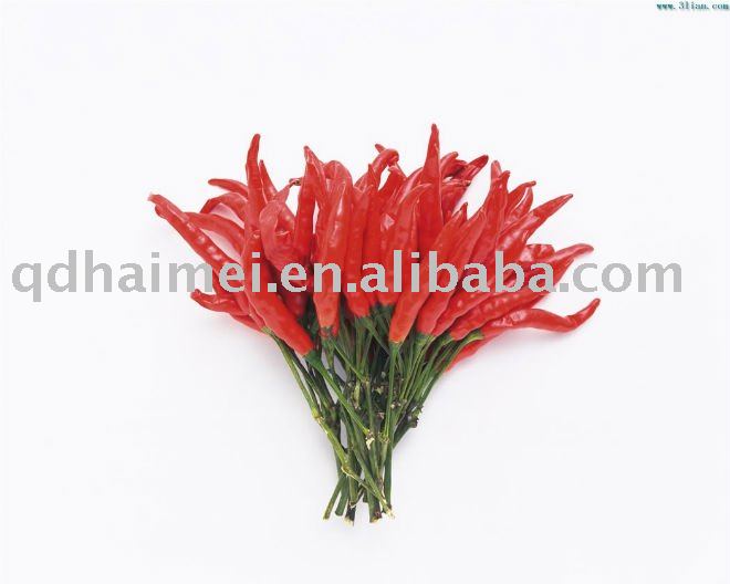 chinese 2010 dired red chilli