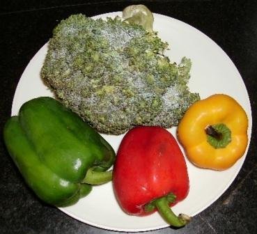 FRESH AND  DRIED   CAPSICUM 