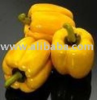 california  pepper -bell  pepper -  yellow - red   pepper 