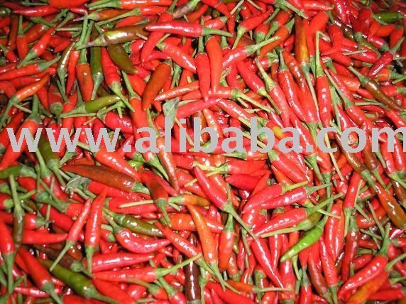 Supply Red Chilli From Vietnam