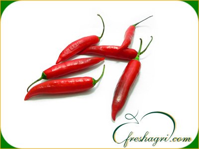  Fresh   Chilli / Pepper 