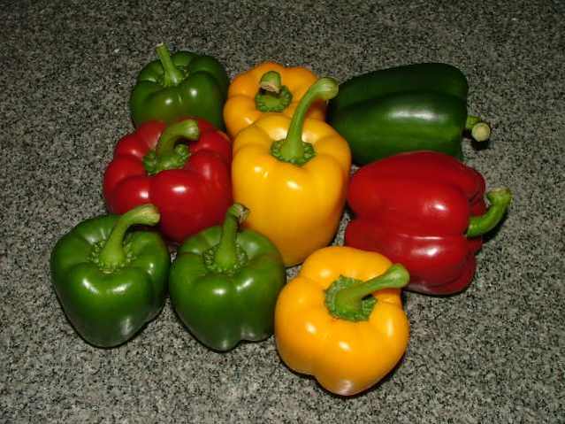 Cameron Highlands Fresh Capsicum