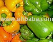  OLEORESIN   CAPSICUM 