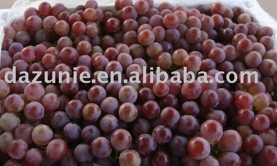 Fresh Red Globe Grape