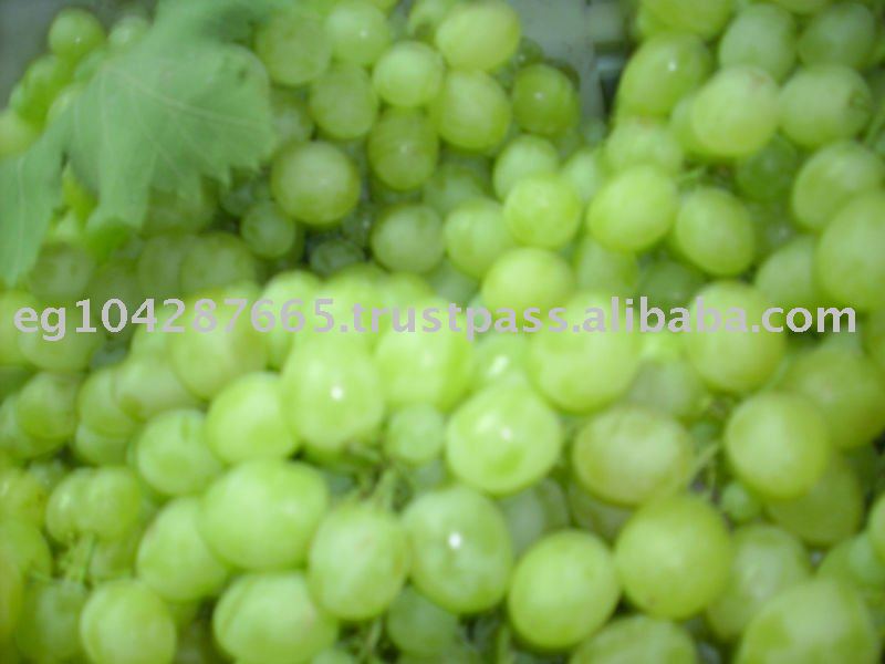 Fresh Grape