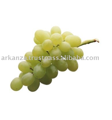 Fresh Seedless Grapes