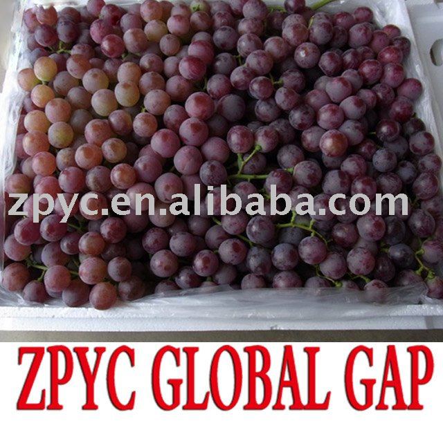 Yunnan red grape