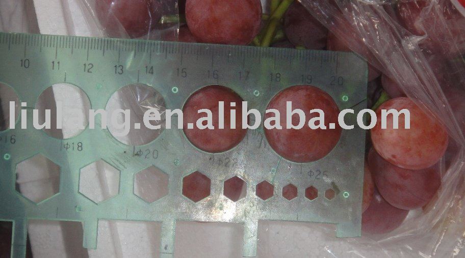 fruit