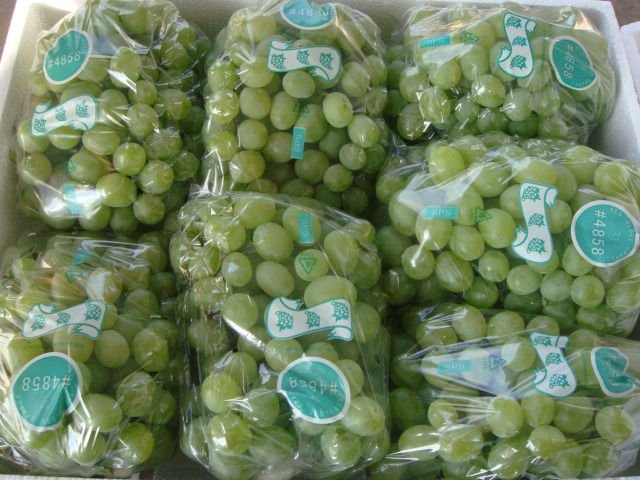 new crop2011 green grape